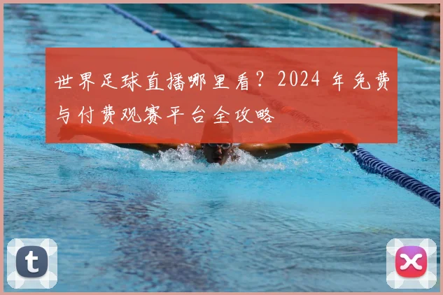 世界足球直播哪里看?2024 年免费与付费观赛平台全攻略