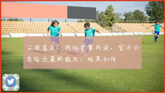 尘埃落定！网坛禁赛风波，官方公告给出最终裁决，结果如何