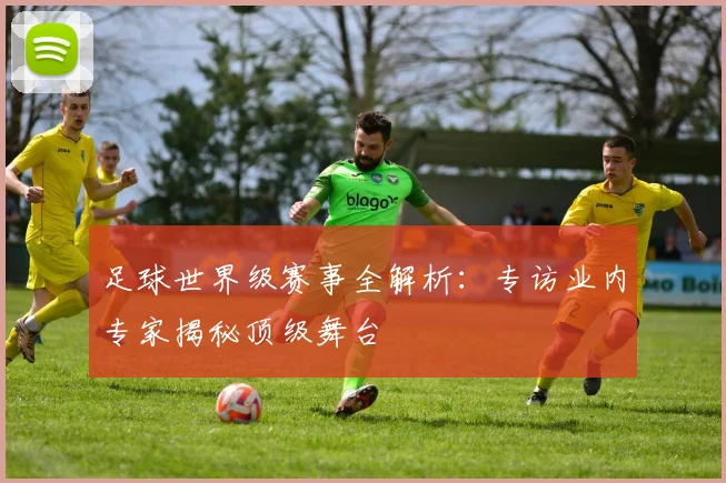 足球世界级赛事全解析：专访业内专家揭秘顶级舞台