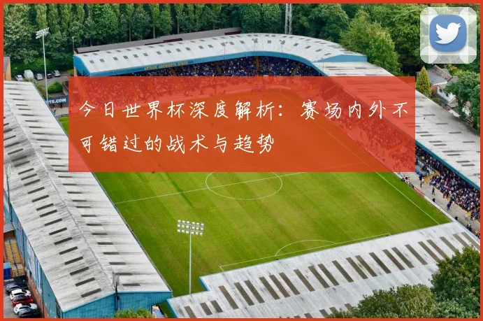 今日世界杯深度解析：赛场内外不可错过的战术与趋势