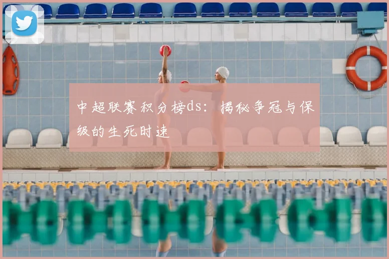 中超联赛积分榜ds：揭秘争冠与保级的生死时速